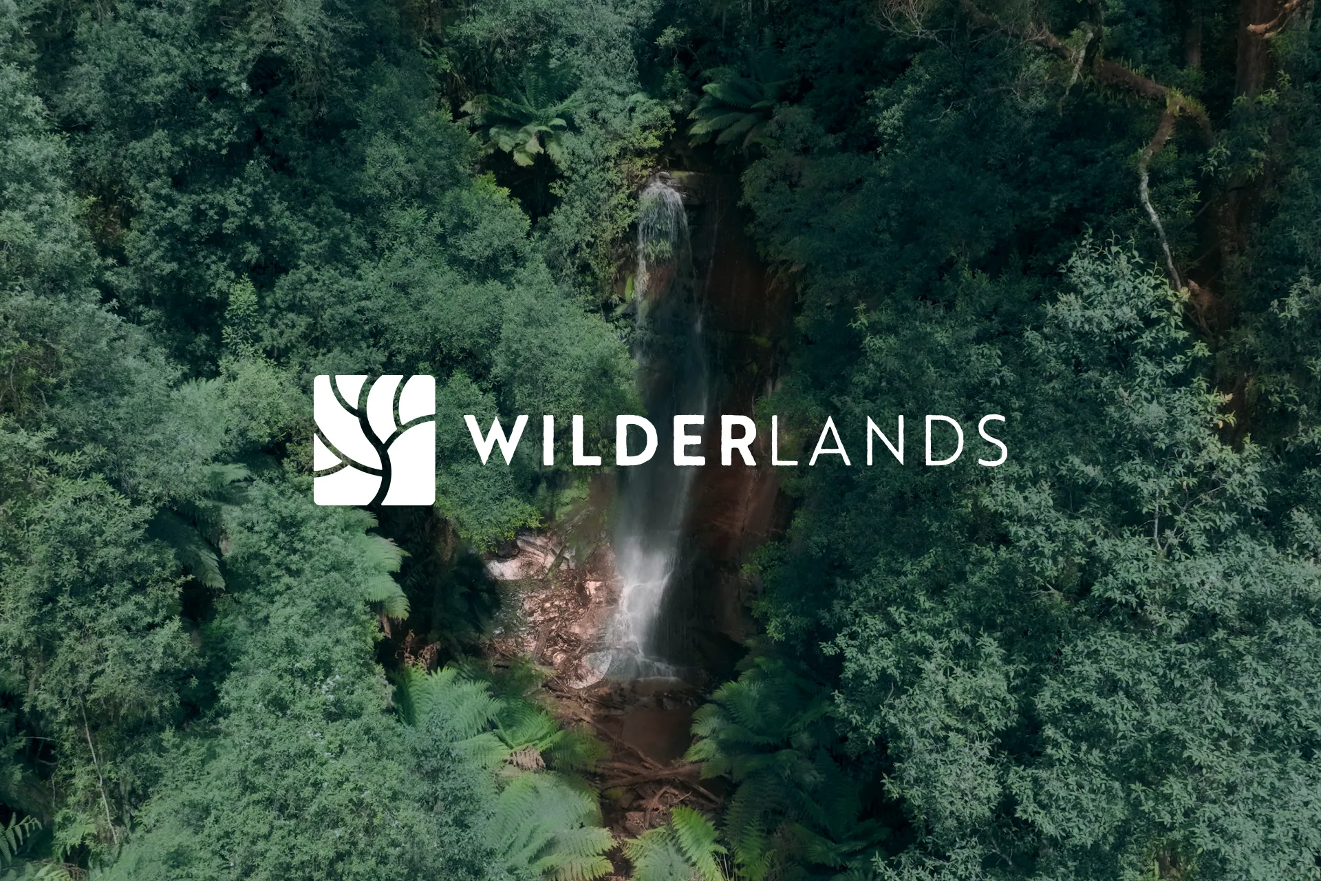The Wilderlands logo in white over an aerial view of a waterfall dropping through dense green temperate rainforest.